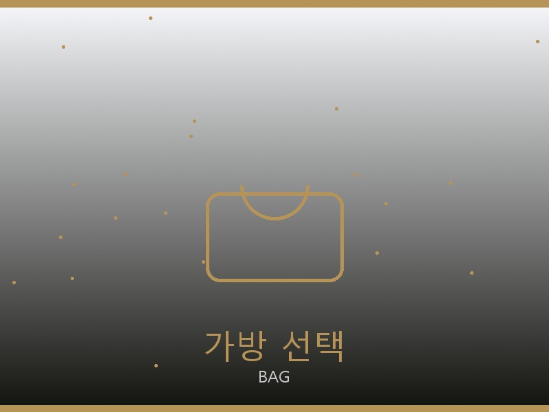 스테파노 리치 레플리카 사이트 가방 선택 가이드