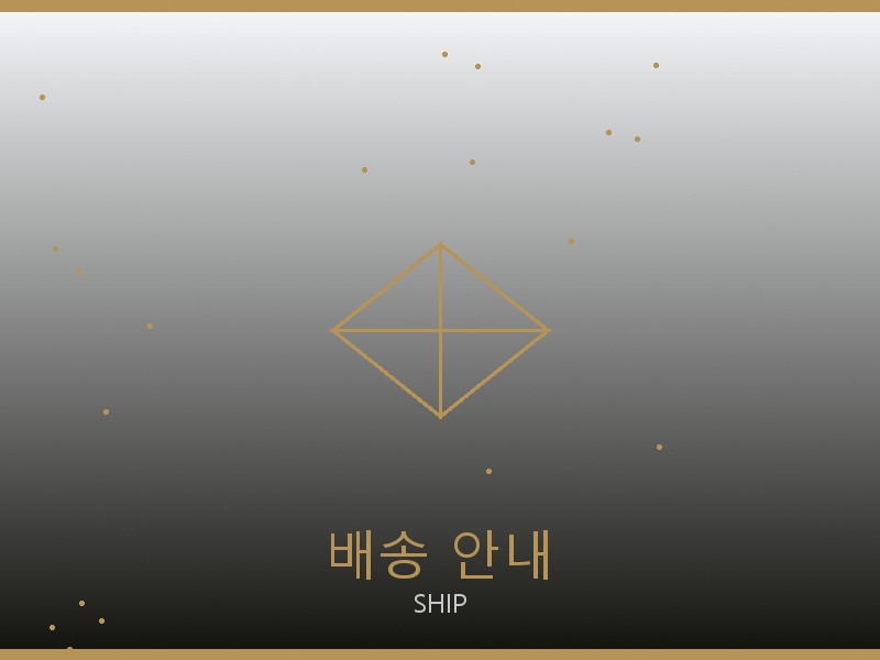 스테파노 리치 레플리카 사이트 배송 이용 안내