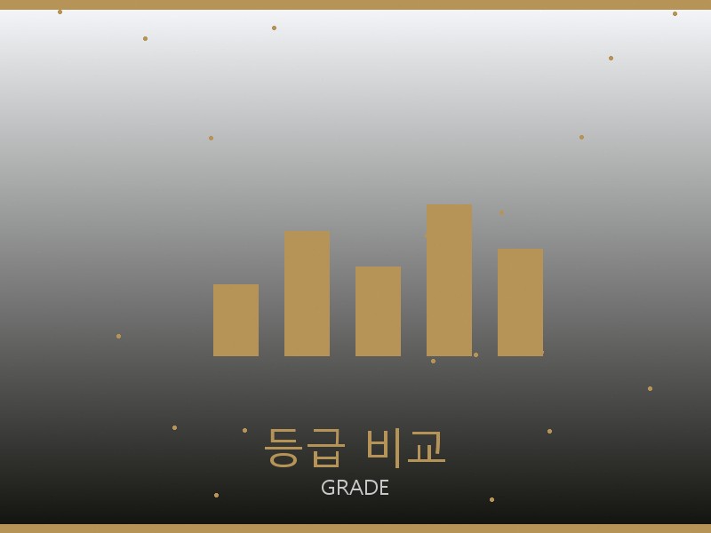 스테파노 리치 레플리카 사이트 등급 기준 비교