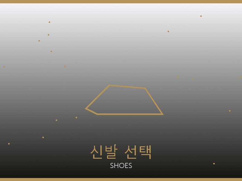 스테파노 리치 레플리카 사이트 신발 선택 가이드